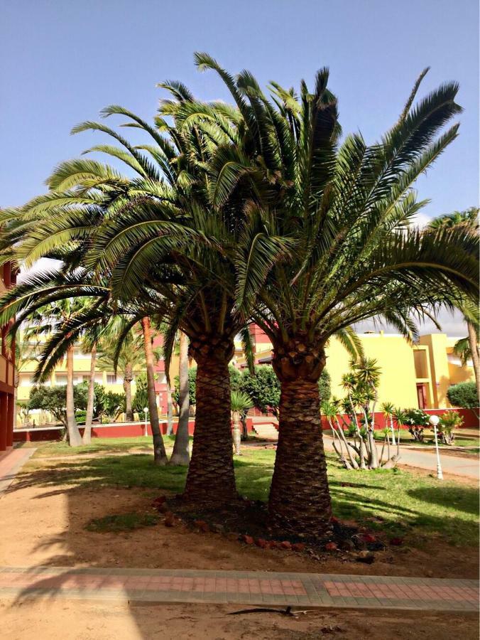 拉·奥利瓦Fuerteventura - La Caleta, Parques Holandes公寓 外观 照片